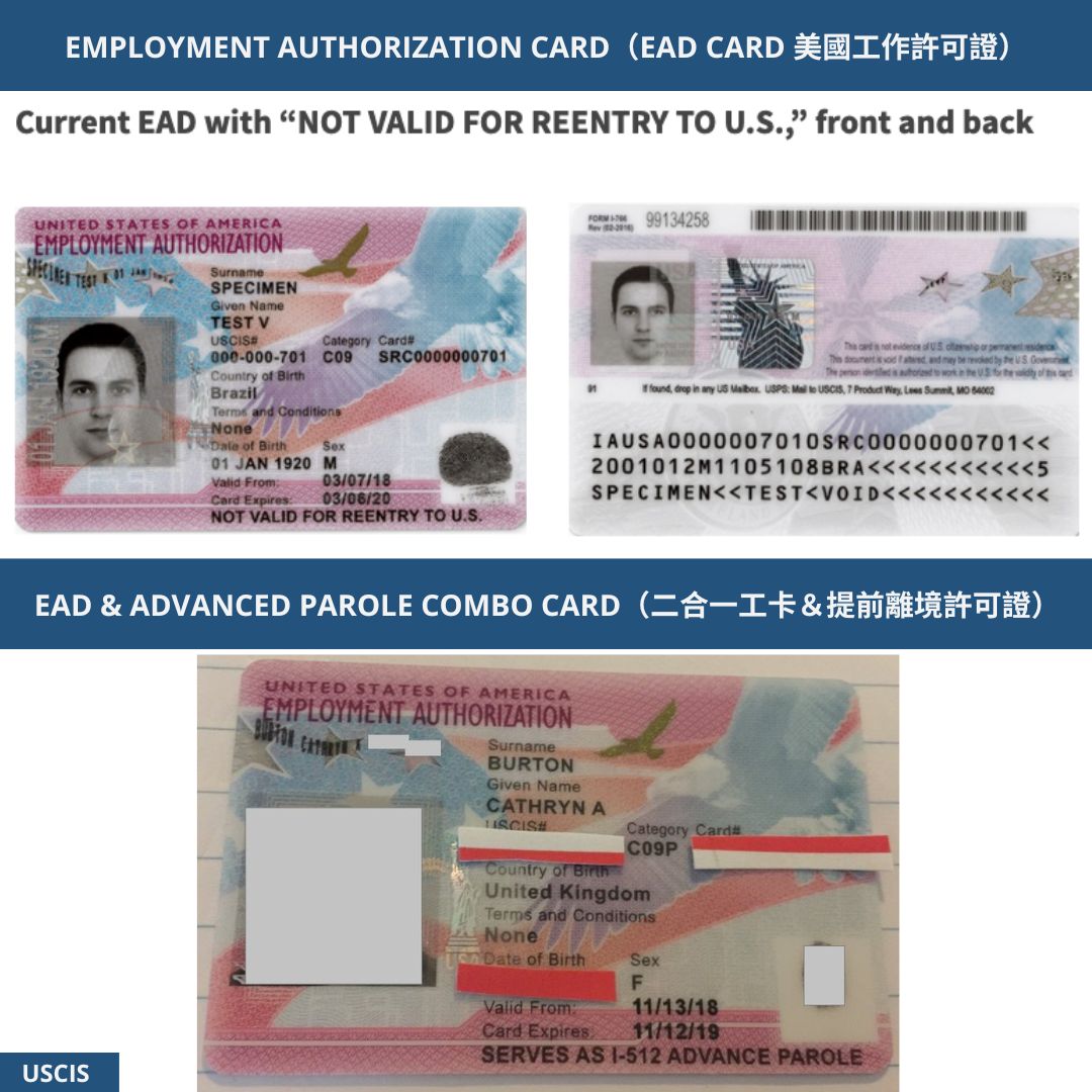 EMPLOYMENT AUTHORIZATION CARD（EAD CARD 美國工作許可證）EAD & ADVANCED PAROLE COMBO CARD（二合一工卡＆提前離境許可證）eng
